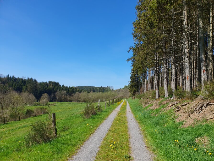 204 km - Landscape in the Ardennes, Belgium